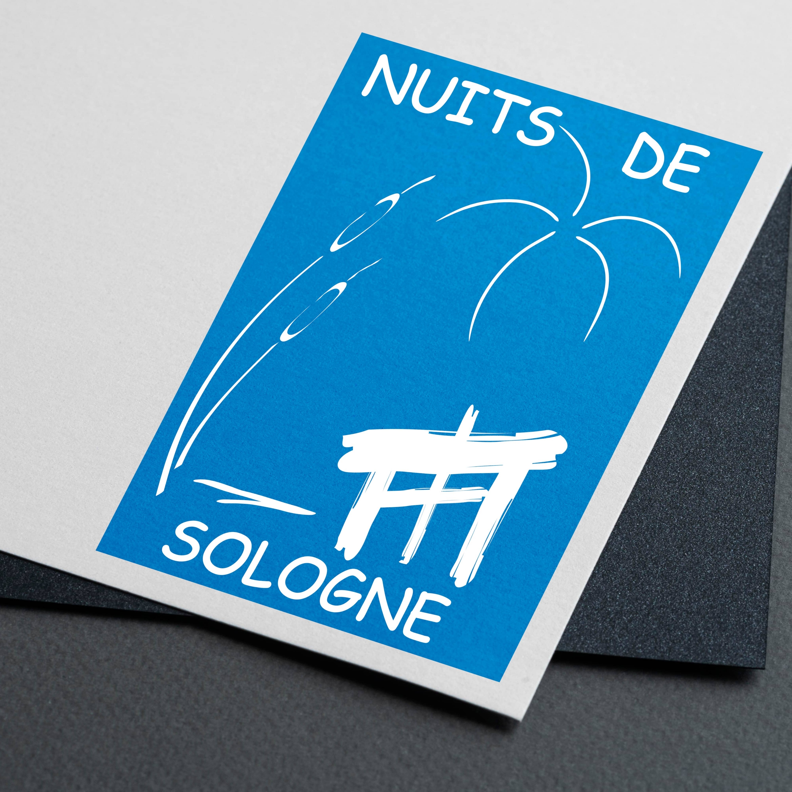Logo Nuits de Sologne - RANA ENCENDIDA - Graphiste - Crépy-en-Valois - Oise